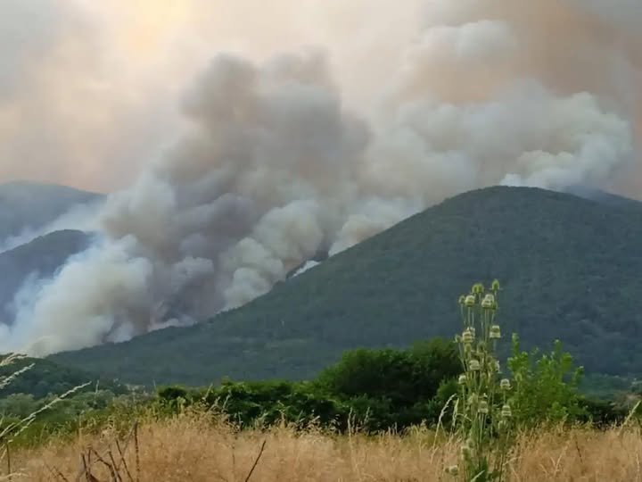 Дългоочакваният дъжд в Пирин заваля