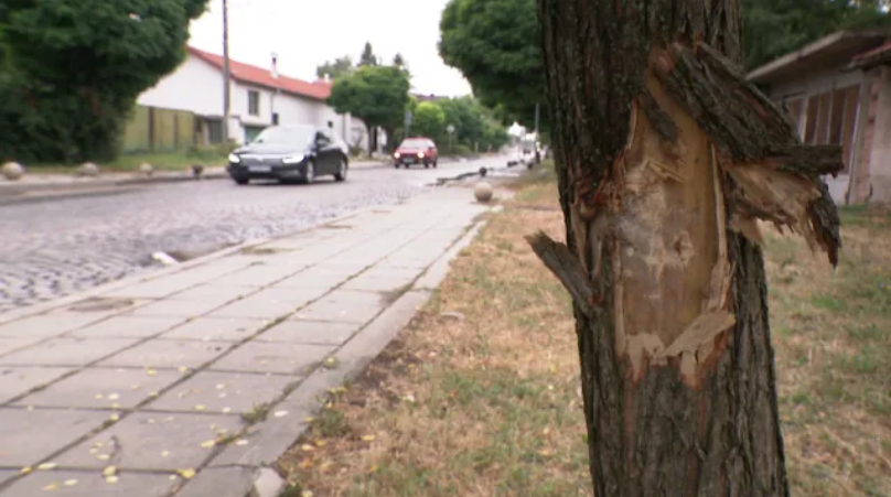 Седми ден 15-годишно момче се бори за живота си, пометено на тротоара от 20-годишен шофьор