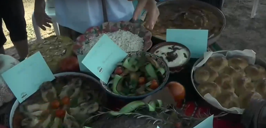 Фестивал на рибата си спретнаха на брега на Дунав