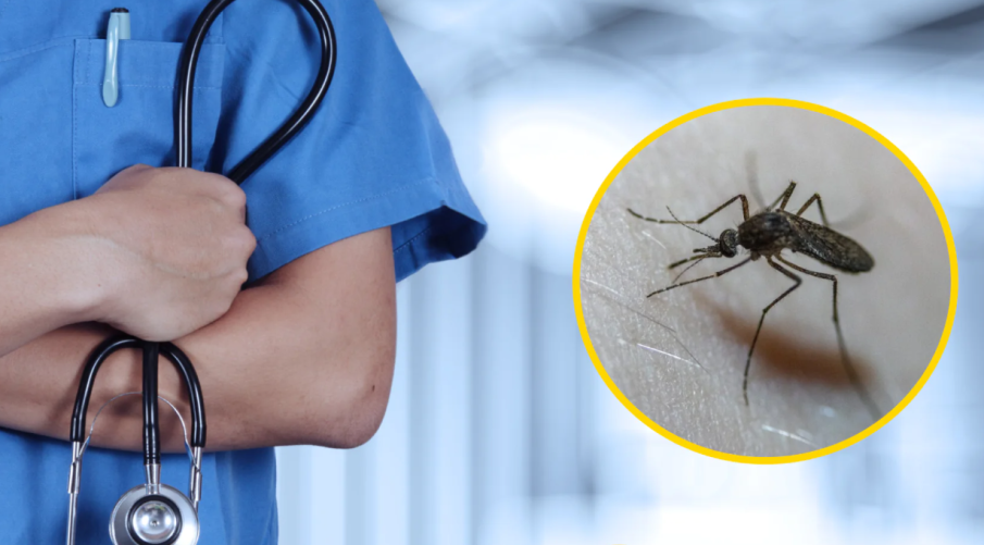 ВНИМАНИЕ: Нилска треска в София