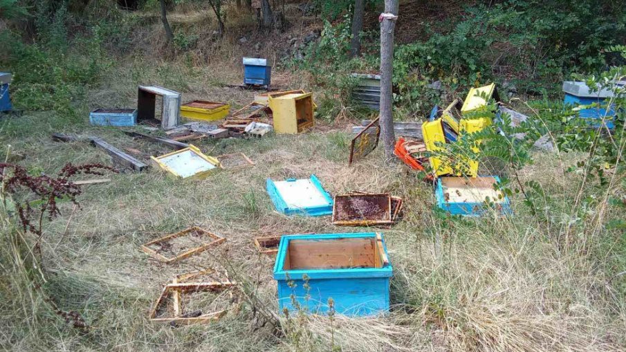 Мечета опустошиха пчелини край град Шипка