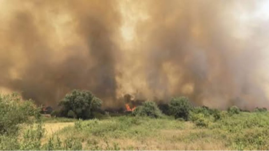 И военни се включват в гасенето на огнената стихия край Сунгурларе