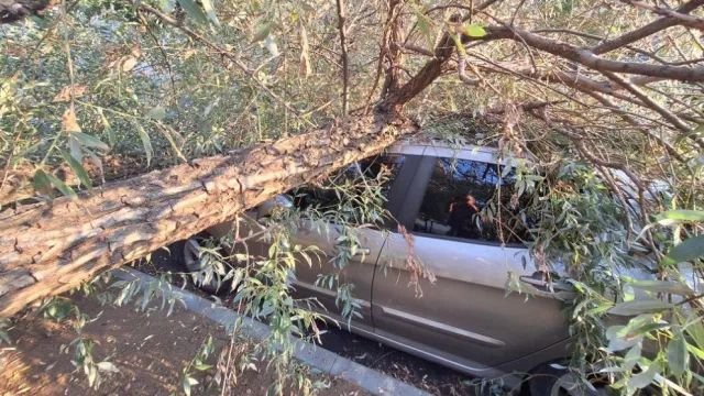 КРАЙ КАРНОБАТ: Мъж е с опасност за живота, след като се заби в дърво