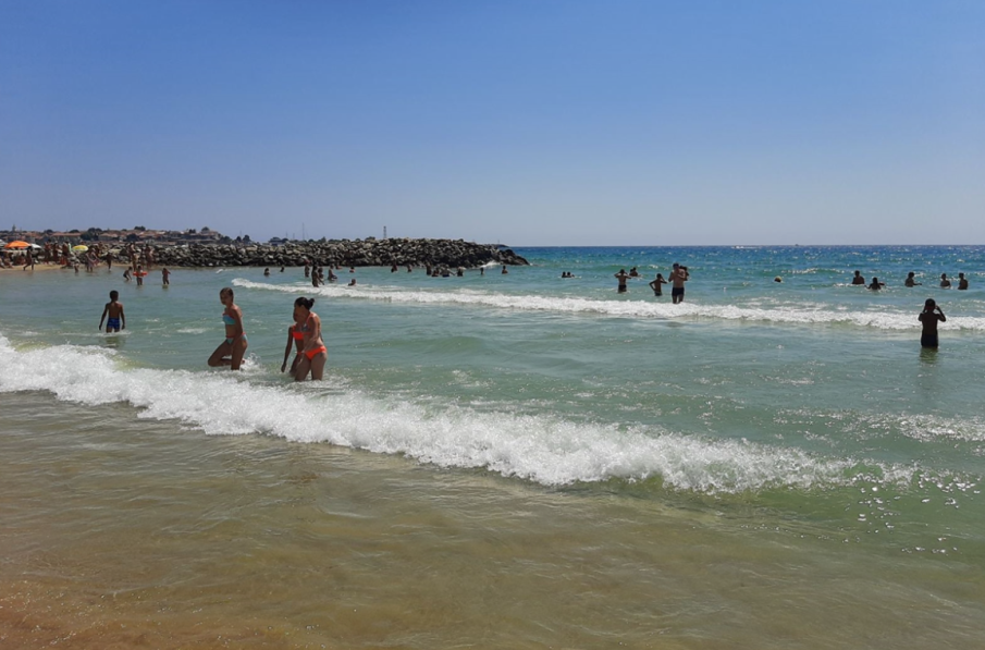 Европейските морета се затоплят. Експерти предупреждават за катастрофални последици