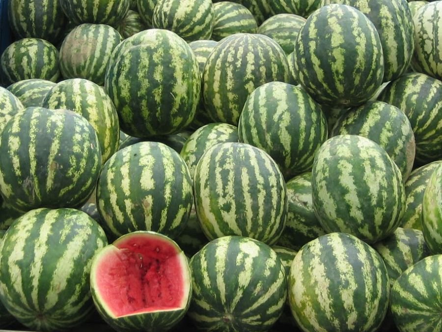 Спор за дини в село до Пловдив завърши с масов бой и погром