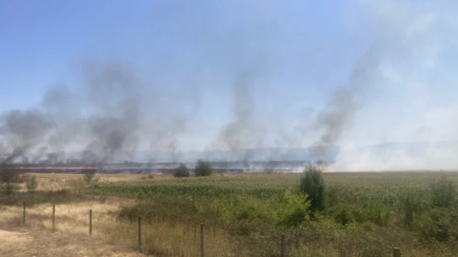 Пожарът, затворил магистрала Марица, пълзи към Свиленград