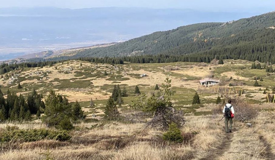 Почистват и маркират ключови туристически маршрути на Витоша