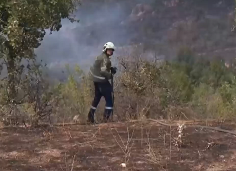 Пожар гори между два квартала на Димитровград