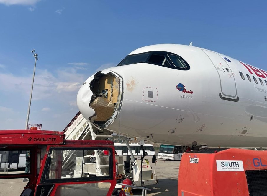 ИНЦИДЕНТ В НЕБЕТО: Птица проби дупка в самолет, а след това влезе в двигателя