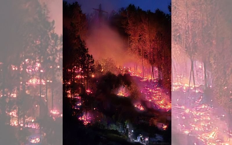 Голям горски пожар до София – между Кремиковци и Локорско