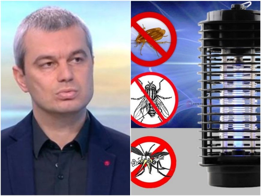 ЦИРК! Касиерка пита Костадинов ще трепе ли депутати - той обнадежден й дал визитка