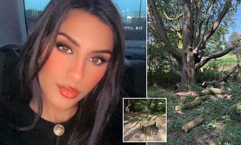 Огромен клон се стовари върху млада майка, в последния миг тя успя да избута детската количка с дъщеря си