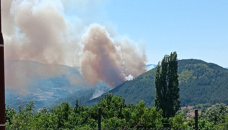 Над 500 дка гора изпепели големият пожар край Кърджали