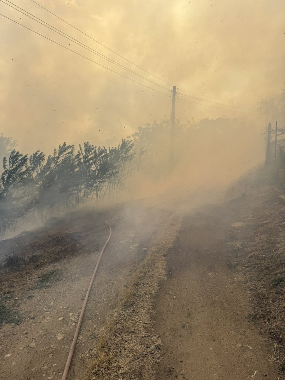 Пожар гори в Сакар планина