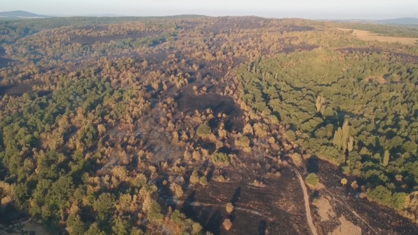 Локализираха огнения ад край Средец, изпепелени са над 9000 декара