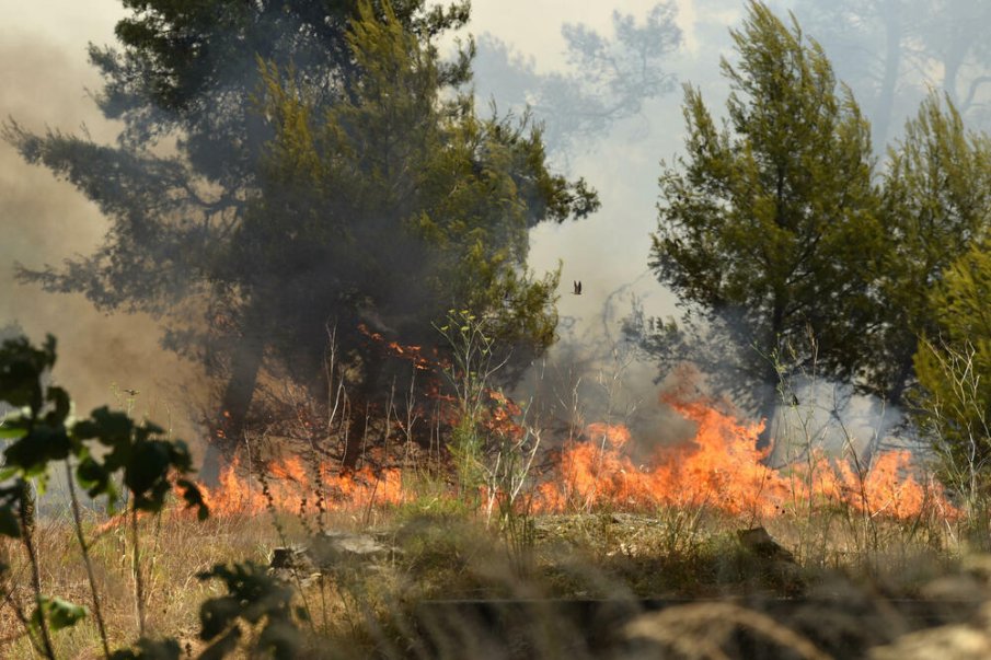 Търсят доброволци за гасенето на пожара в националния парк Рила