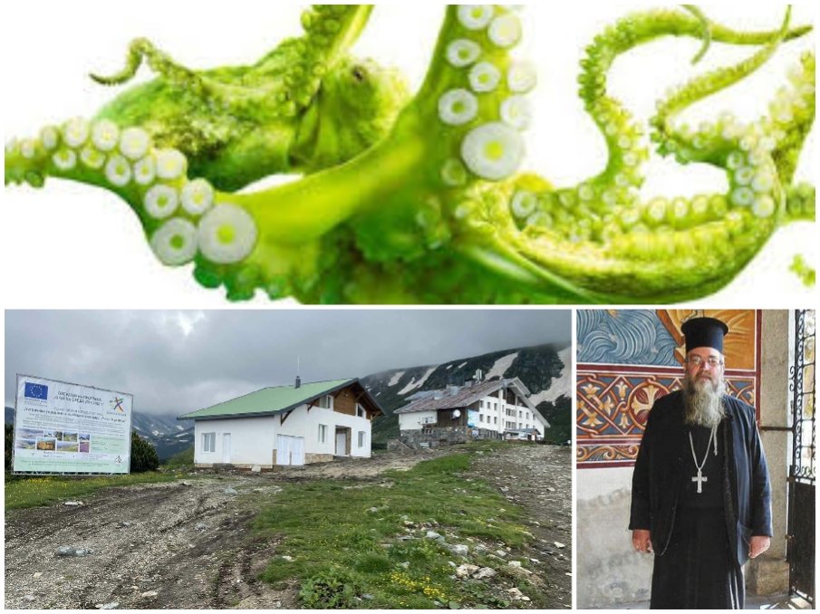 ГЪРМИ НОВА АФЕРА! Зеленият октопод задушава църквата с пипалата си - екоактивисти не искат параклис на Седемте рилски езера