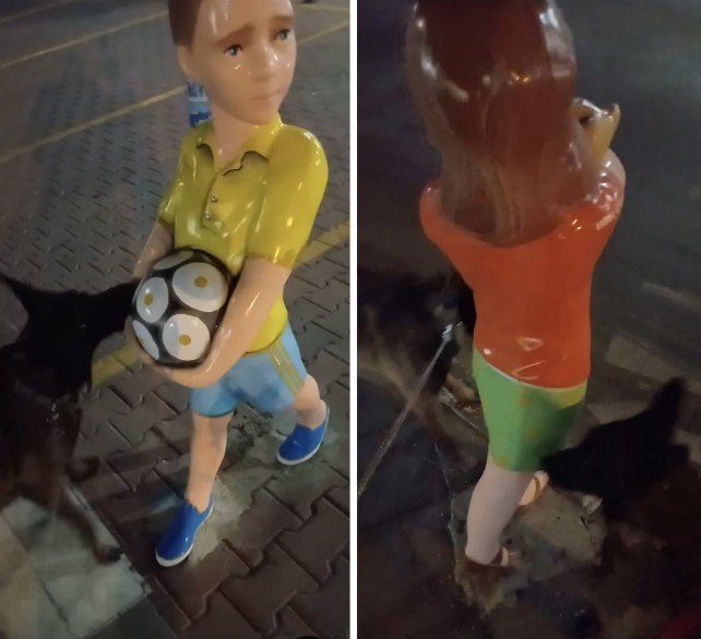 Скандално видео на агресия с кучета в Костинброд (ВИДЕО)