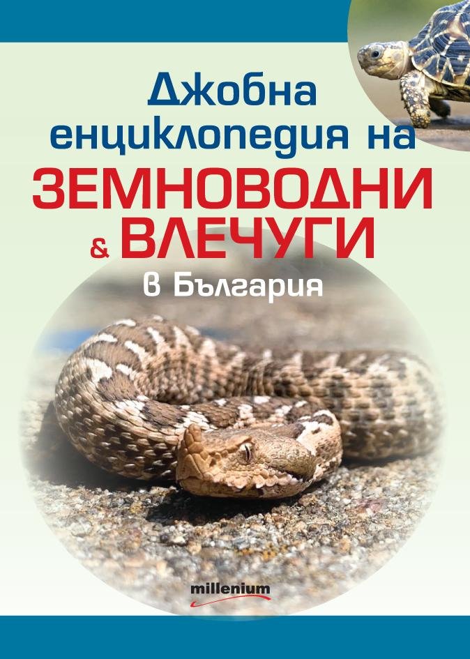 Кои са опасните змии у нас и как да се предпазим от ухапване