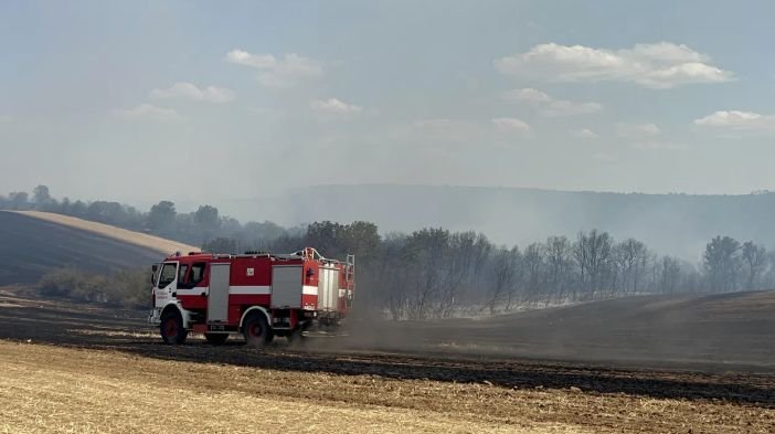 Потушен е пожарът край Петолъчката