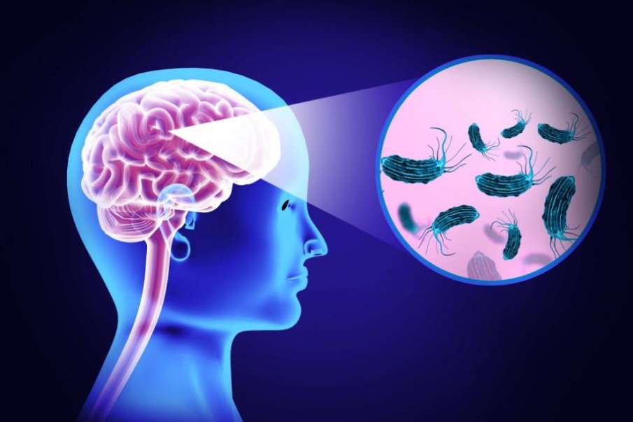 Човекоядна амеба откриха в питейната вода на Австралия