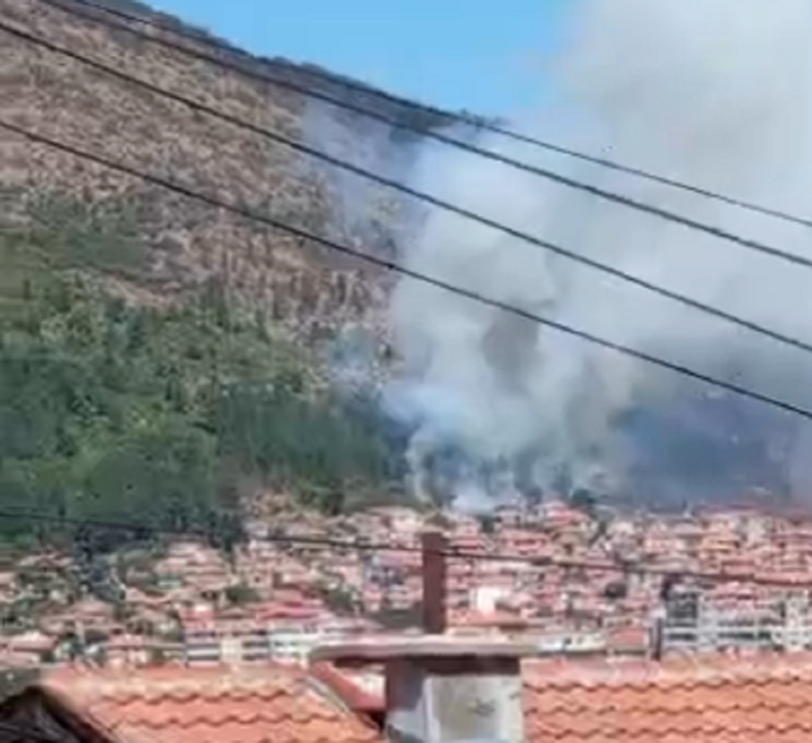 ЗАРАДИ ДЕТСКА ИГРА: В Сливен изгоряха 5 декара иглолистна гора