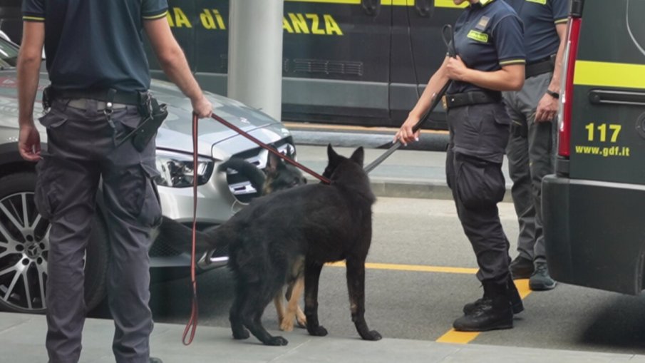 Скрита сред булчински рокли: Заловиха българин за трафик на голямо количество марихуана в Италия (ВИДЕО)