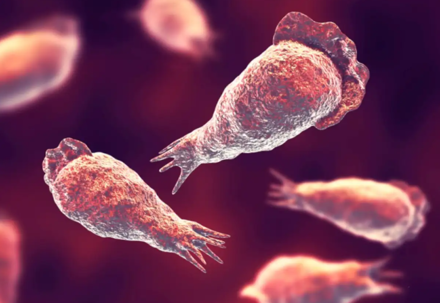 ШОК: Дете почина от рядка инфекция, причинена от „амеба, разяждаща мозъка“