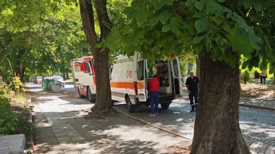 В ТЪРСЕНЕ НА ВЪЗМЕЗДИЕ: Семейството на убития от клон в Пловдив ще съди общината