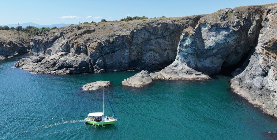 Заснеха изчезнал морски бозайник край Приморско (СНИМКА)