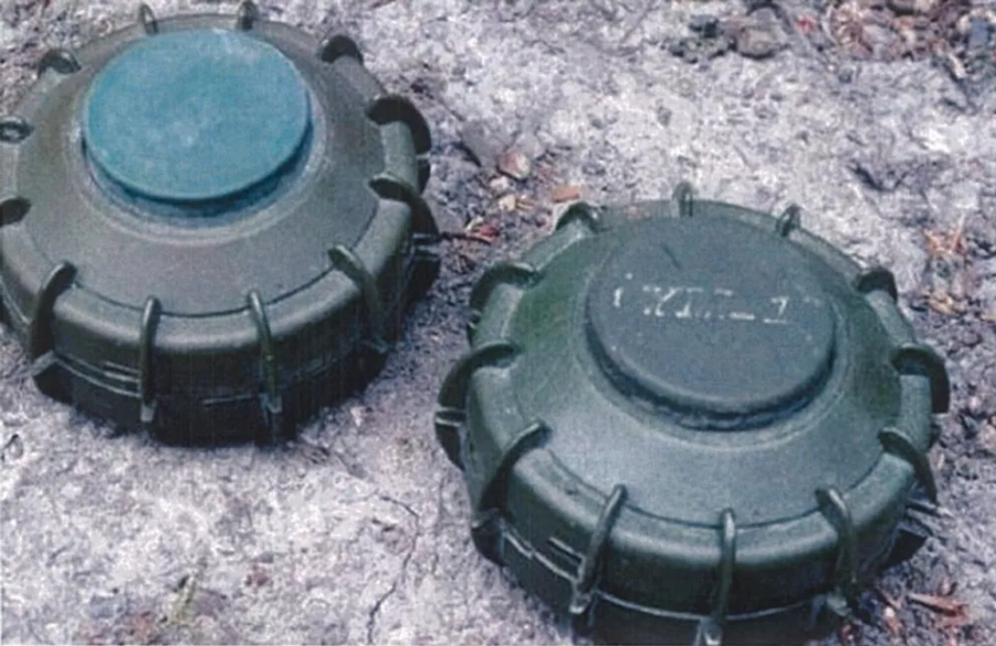 Смъртоносно военно наследство: Мина уби тийнейджър в Босна