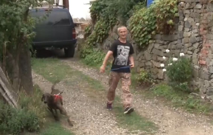 Нападнатият от мечка в Родопите спасен от кучето си