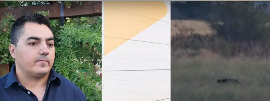 ОЧЕВИДЕЦ ЗА ЧЕРНИЯ ЛЕОПАРД: Животното беше на 10 метра от мен, явно гонеше плячка