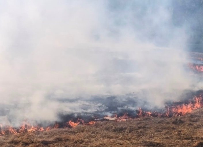 Пожар вилня край Чипровци, погълна няколко вили