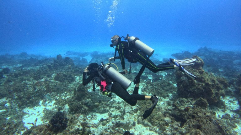 Водолази чистиха морското дъно край Бургас