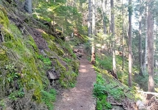 Пожарникари спасиха туристка от София, паднала в бурна река в гората край Борино