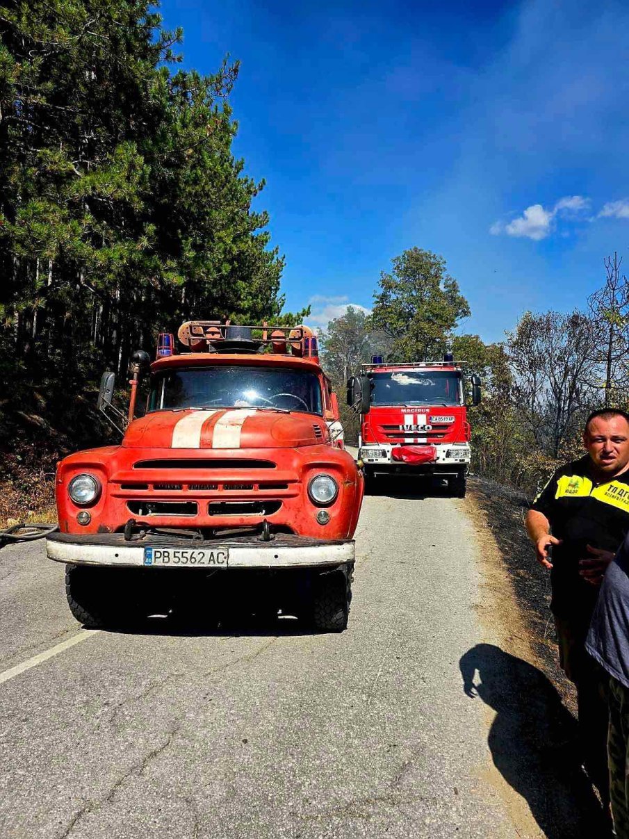 Разгаря се пожарът над Асеновград, спряха тока към планината
