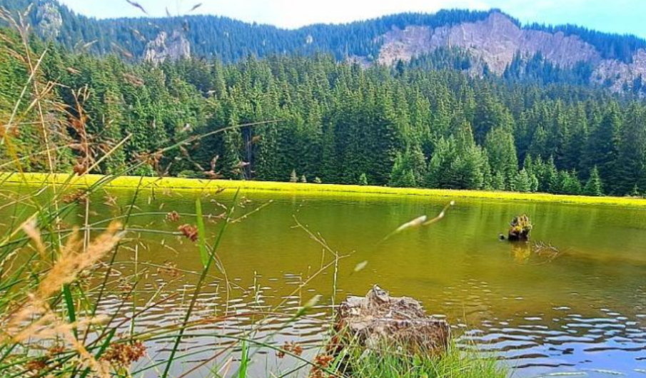 Студ скова Родопите, 0 градуса измериха в Чепеларе