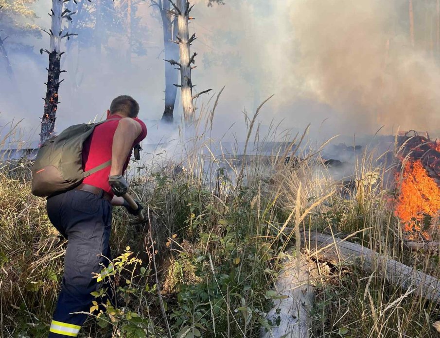 Щетите от пожара в Пирин са за над 16 милиона лева