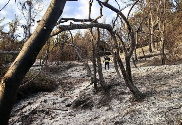 Огромни са щетите от пожара край Асеновград