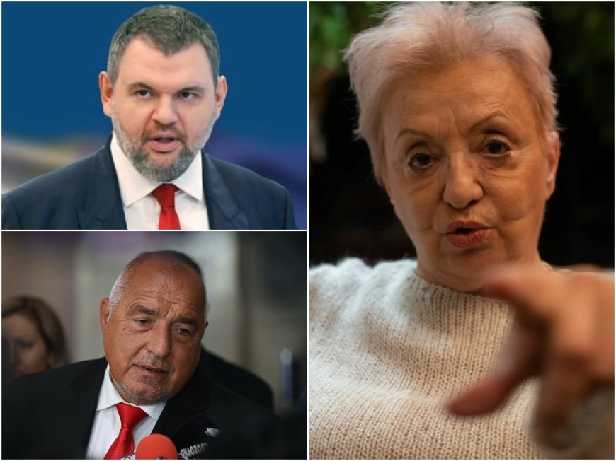 Диана Дамянова с ГОРЕЩ КОМЕНТАР: Две философии се сблъскват в България - от една страна са Борисов и Пеевски, които искат да управляват стабилно, от друга ПП ги остракират