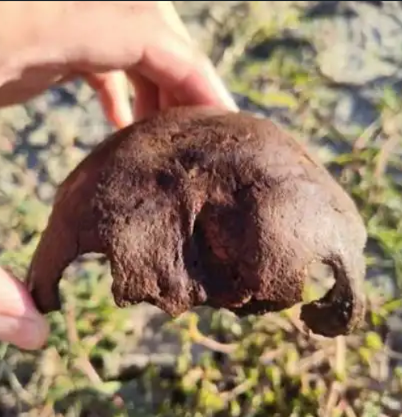 Човешки кости откриха край плевенското село Байкал, тече разследване (СНИМКИ)