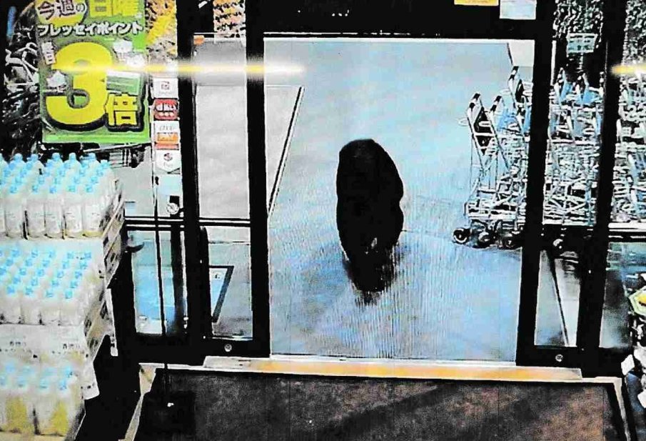 Мечка нападна супермаркет в Япония, намерен е мъртъв мъж, други двама са ранени