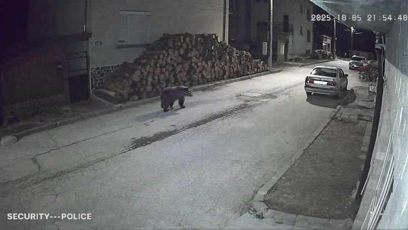 Мечка дебне в община Доспат (СНИМКА)