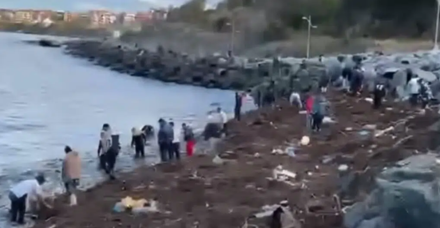 Разби се отнесеният от пороя в морето сейф, в Царево пощуряха да ловят столевки