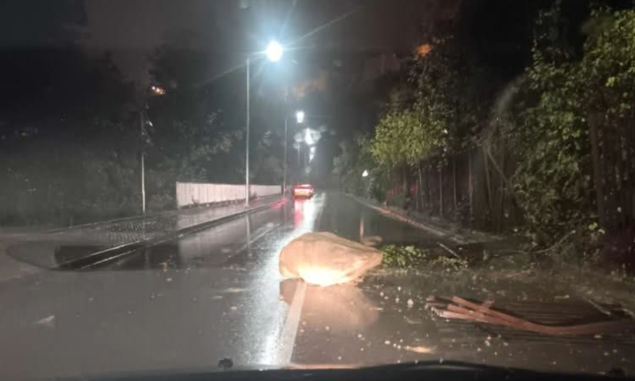 Падащи камъни от крепостта „Царевец“ удариха такси