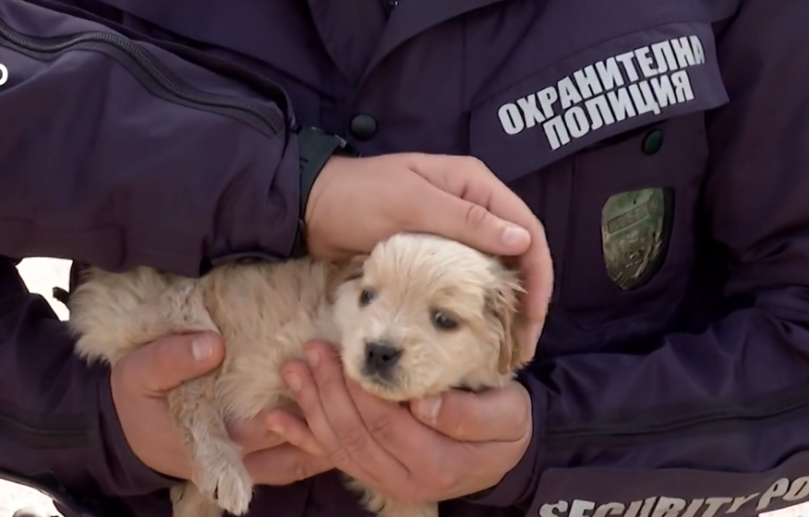 Полицаи от Елхово спасиха кученце, вързано в торба на пътя и полузадушено