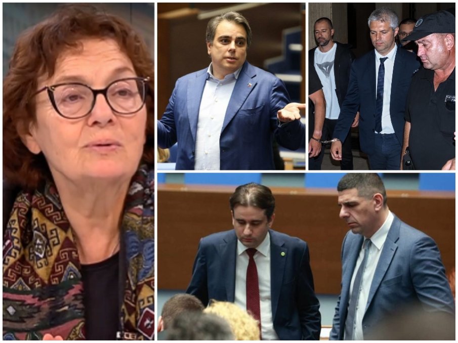 ИСТИНАТА В ОЧИТЕ: Проф. Румяна Коларова: Казусът Коцев е политически сблъсък между ППДБ и съдебната власт