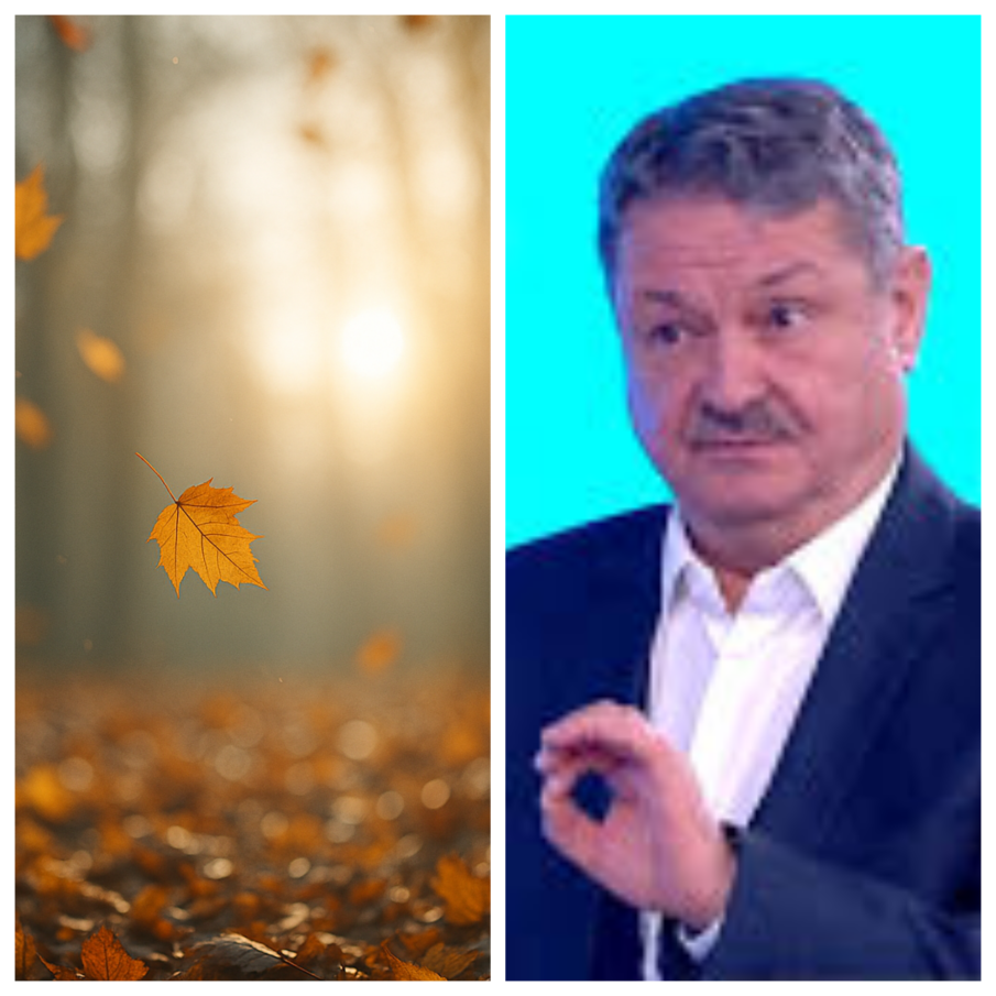 Проф. Георги Рачев: Сравнително топъл и с нормални валежи декември, без сняг поне до студентския празник