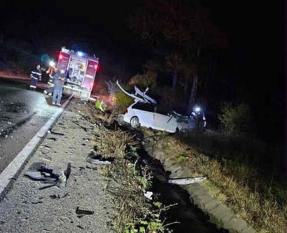 Диана Русинова за катастрофата край Челопеч: Кръвната проба на шофьора, убил Мартин, е положителна